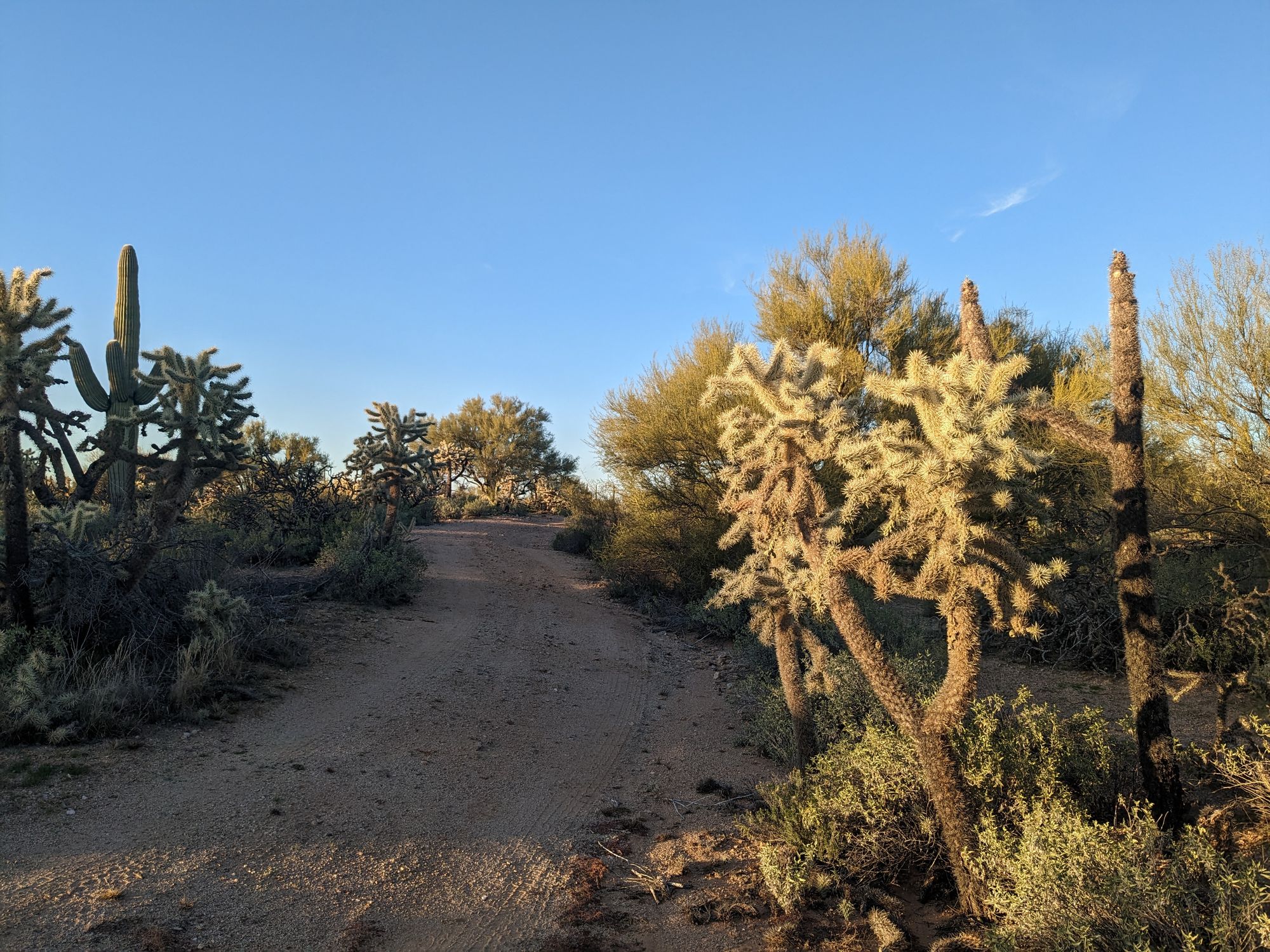 Camping On Arizona State Trust Land 7117