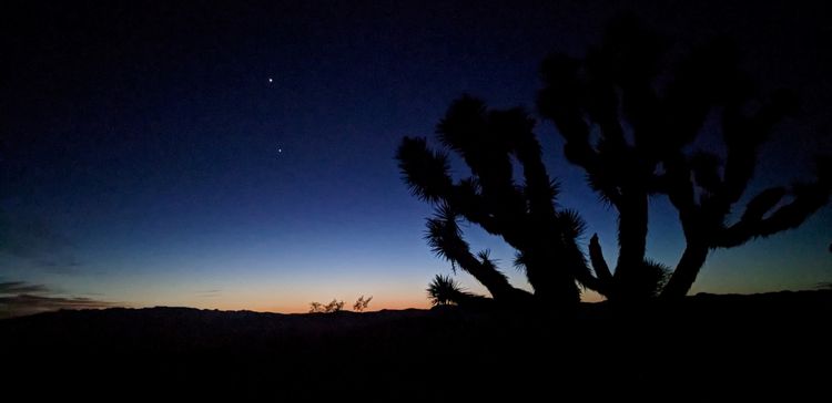 Mojave Desert | Beaver Dam Wash Conservation Area