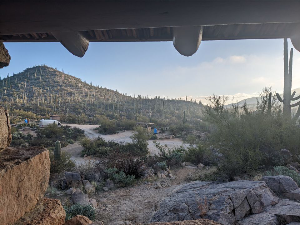 Saguaro National Park